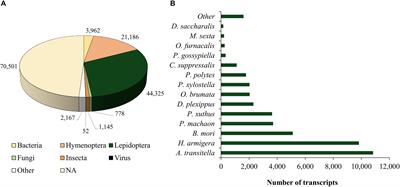 Regulation of the Larval Transcriptome of Diatraea saccharalis (Lepidoptera: Crambidae) by Maternal and Other Factors of the Parasitoid Cotesia flavipes (Hymenoptera: Braconidae)